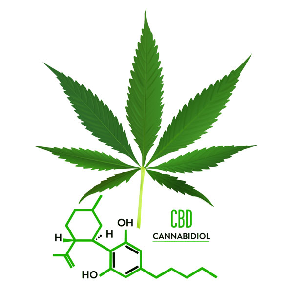 CBD Hash MOROCCAN CBD 17% 1g - 25g - Slika 5