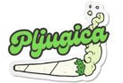 Pljugica