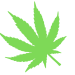 canabis-leaf
